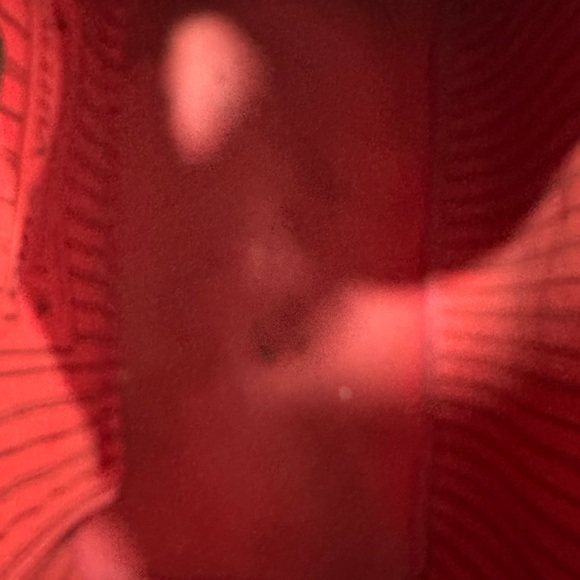 Designer Bag - Picture 6 of 10